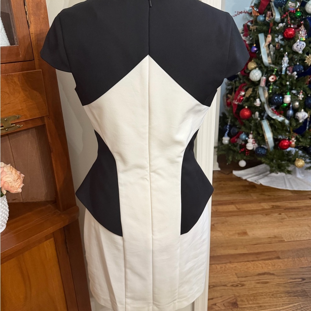 Elegant Black and White Sheath Dress